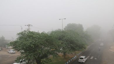 فیروزکوه