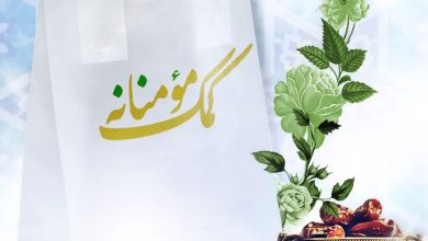رئیس شورای بخش مرکزی فیروزکوه